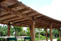 lattices and trellises